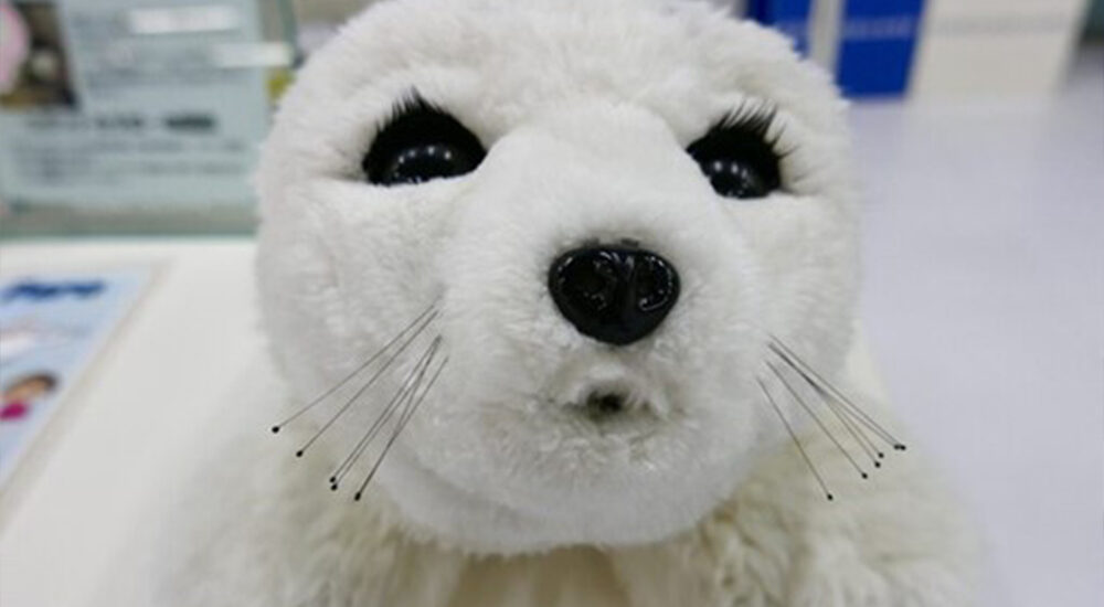 Роботи-терапевти з Японії лікуватимуть у Варшаві дітей-біженців з України