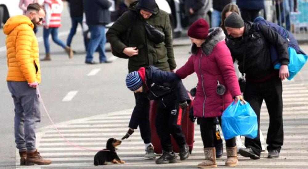 Розмір матеріальної допомоги для українських біженців у Словаччині не зміниться