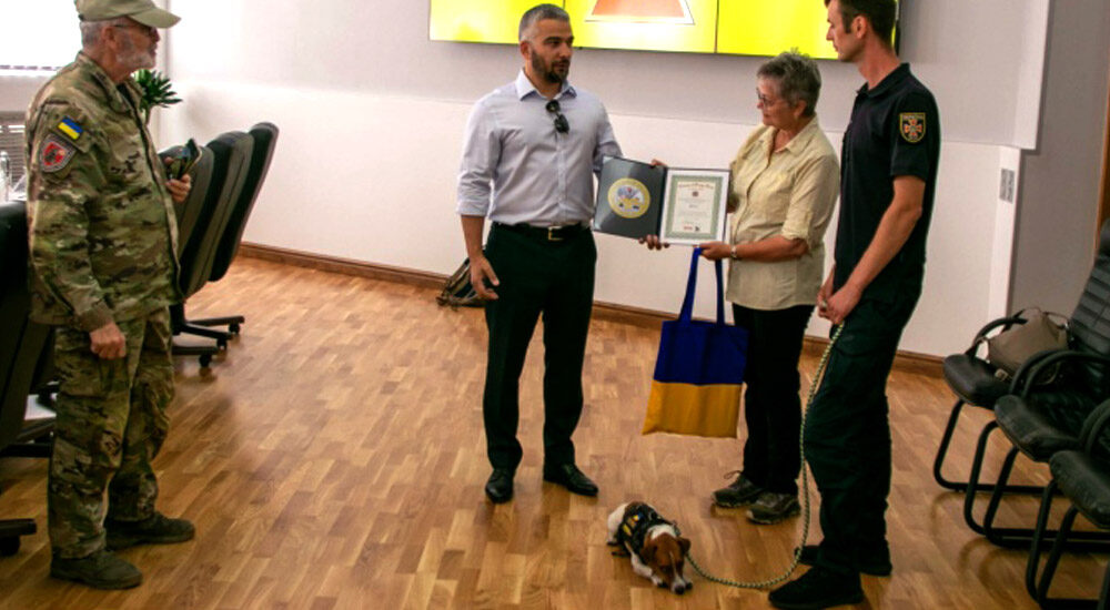 Пес Патрон отримав пам’ятні відзнаки одразу від двох ветеранських організацій США