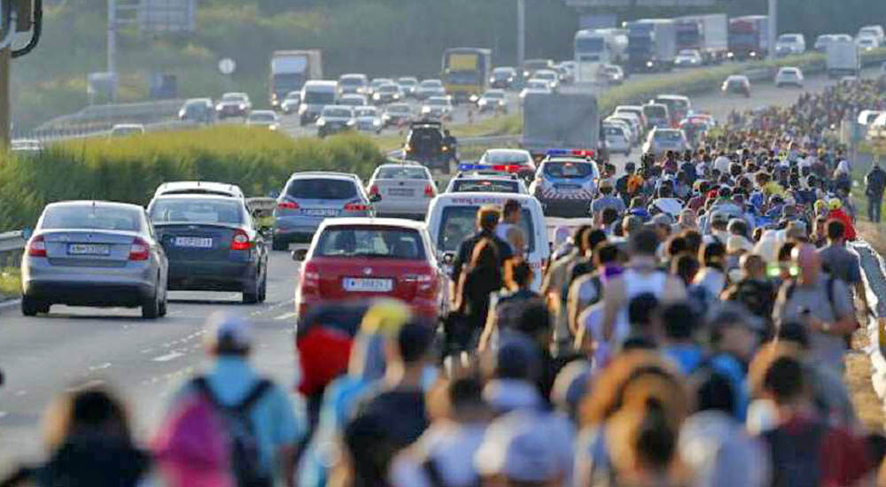 430 тисяч українців офіційно працевлаштувалися у Польщі