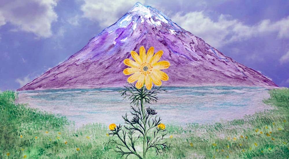 ГО «БАЗА UA» організовує мистецький табір «Горицвіт» для постраждалих від війни підлітків