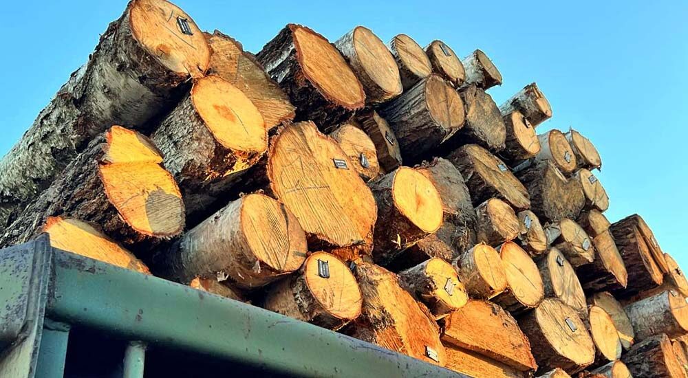 Триває доставка безкоштовних дров на прифронтові території