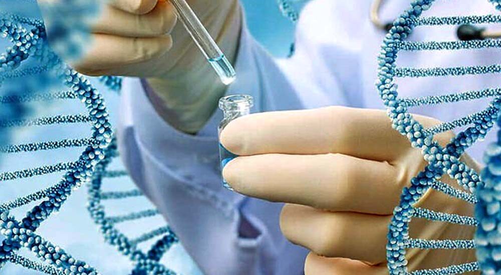 Близька людина не виходить на зв’язок: що треба знати про ДНК- експертизу