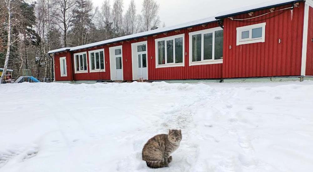 Майже пів сотні переселенців живуть у реконструйованому під житло оздоровчому таборі на Волині