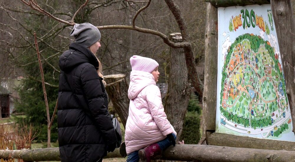 У Рівному переселенці й надалі можуть безплатно ходити в зоопарк