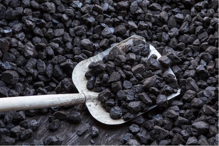 Завдали 51 мільйон гривень збитків держшахтам: НАБУ і САП завершили розслідування стосовно двох осіб