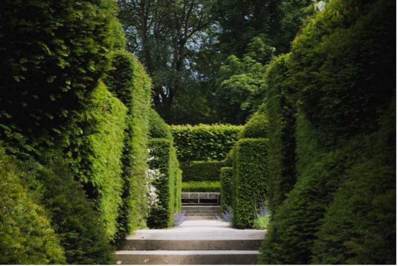 У Києві відкрили зелений лабіринт «Шлях до безпеки»