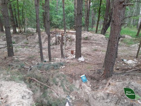 Ліси Київщини допоможуть розмінувати фахівці з Нідерландів