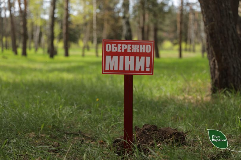 У яких областях України заборонено відвідувати ліси?