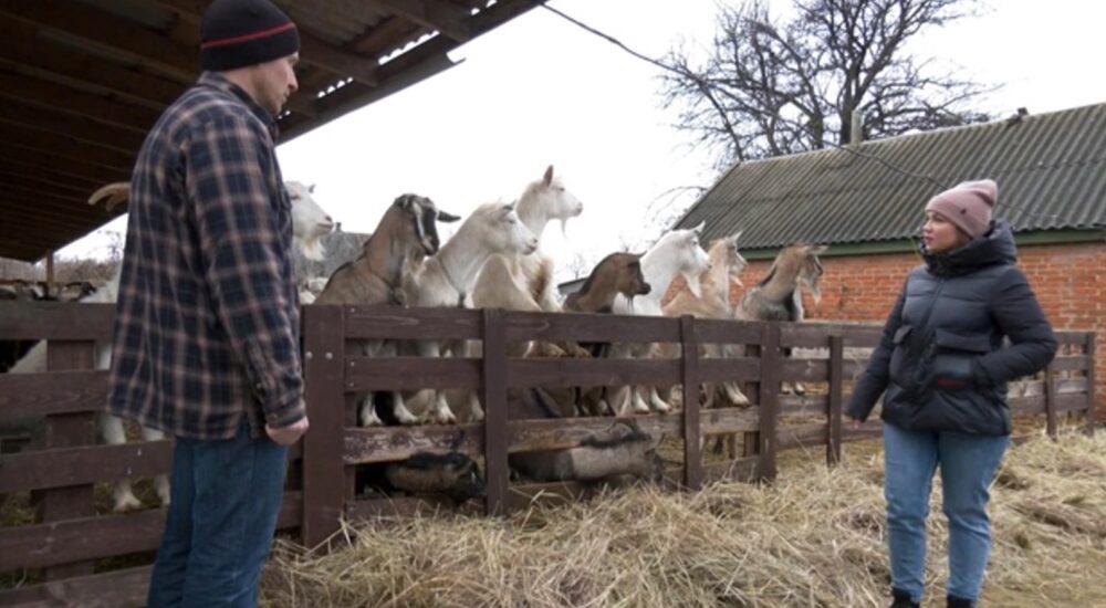 На Полтавщині переселенці з Луганська на грант відкрили ферму