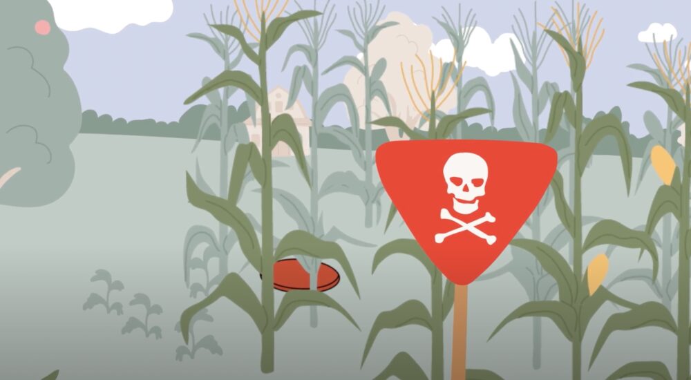 ОБЕРЕЖНО: МІНИ! Роккі – про знаки, що можуть врятувати життя