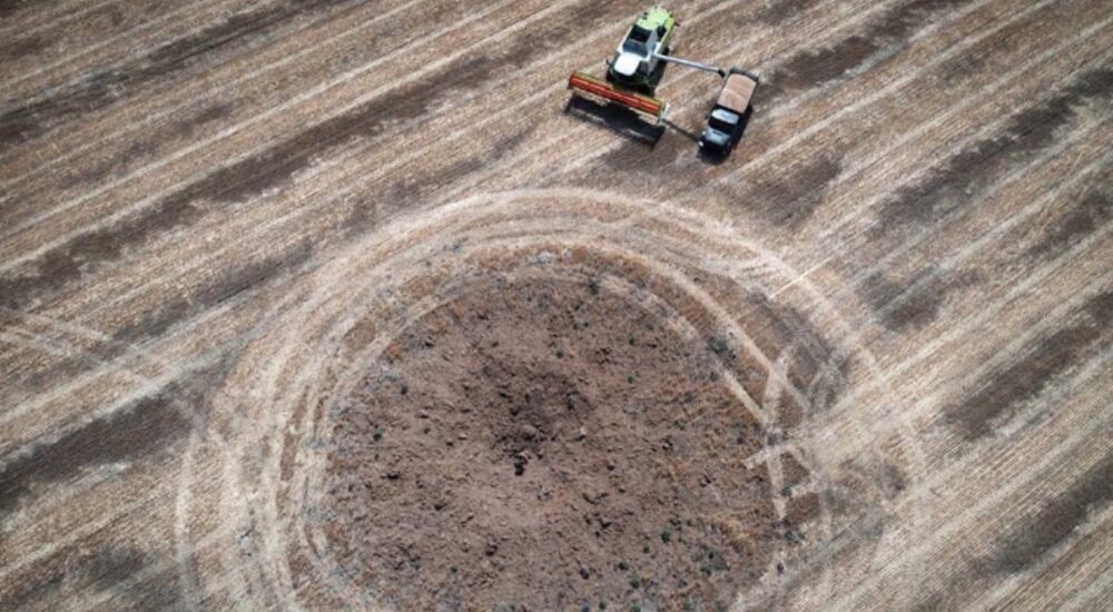 За січень в Україні обстежено ще понад 21 тис. га сільгоспземель