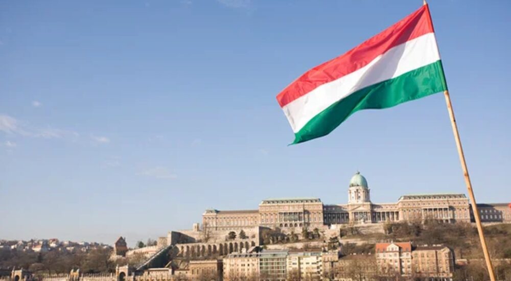 Угорщина долучилася до коаліції з розмінування України