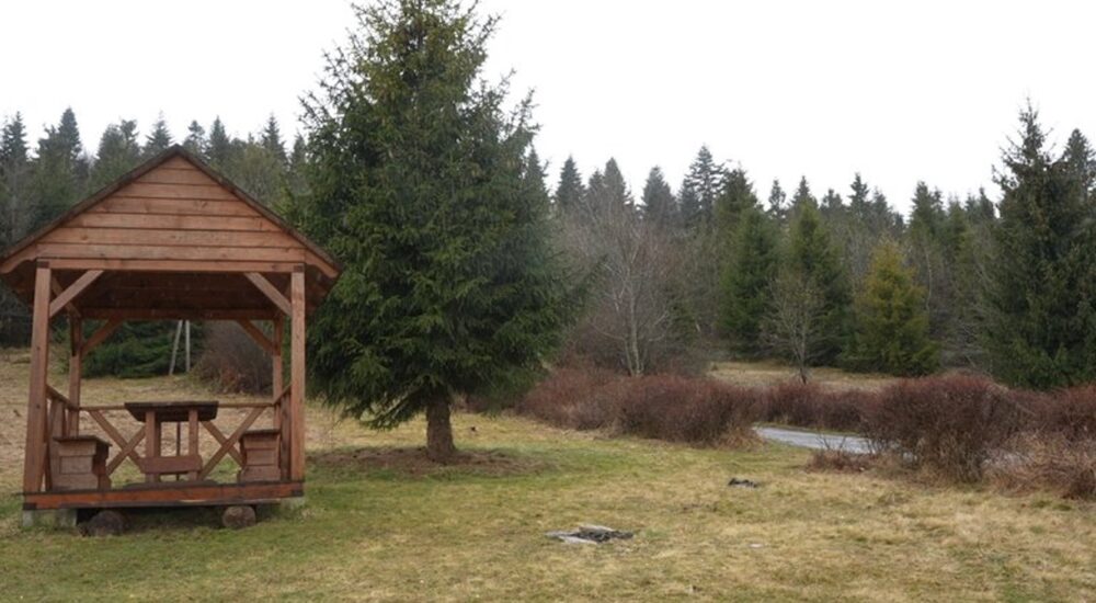 У львівських Карпатах створять новий дводенний туристичний маршрут