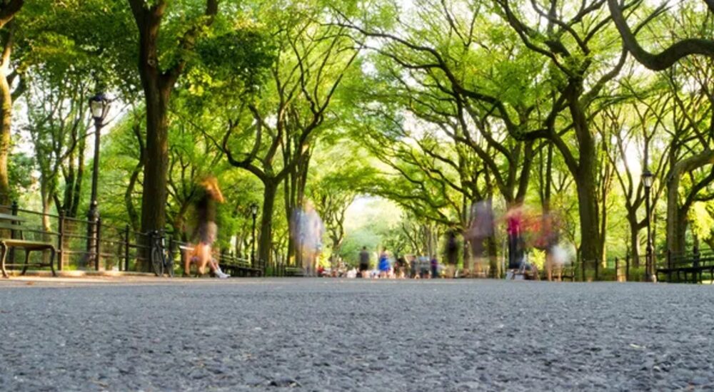 Як захиститися та що робити, якщо ви знайшли кліща на тілі?