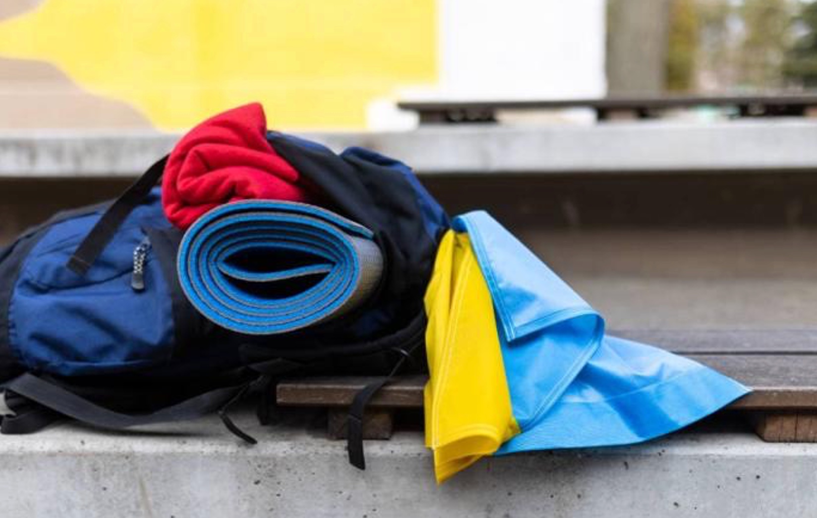 Триває публічне обговорення Стратегії державної політики щодо ВПО до 2030 року: як долучитися