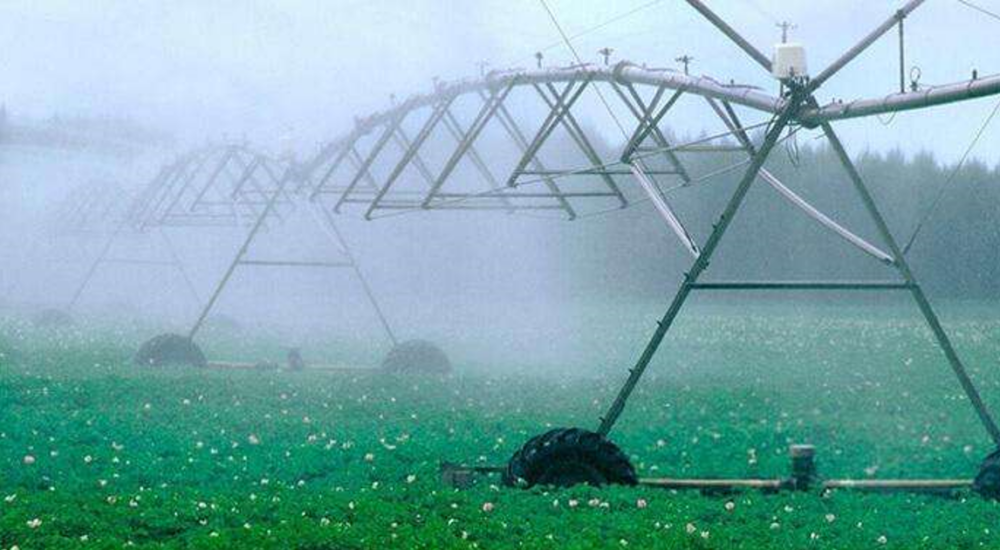 Міжнародні партнери підтримують фермерські господарства на деокупованих територіях