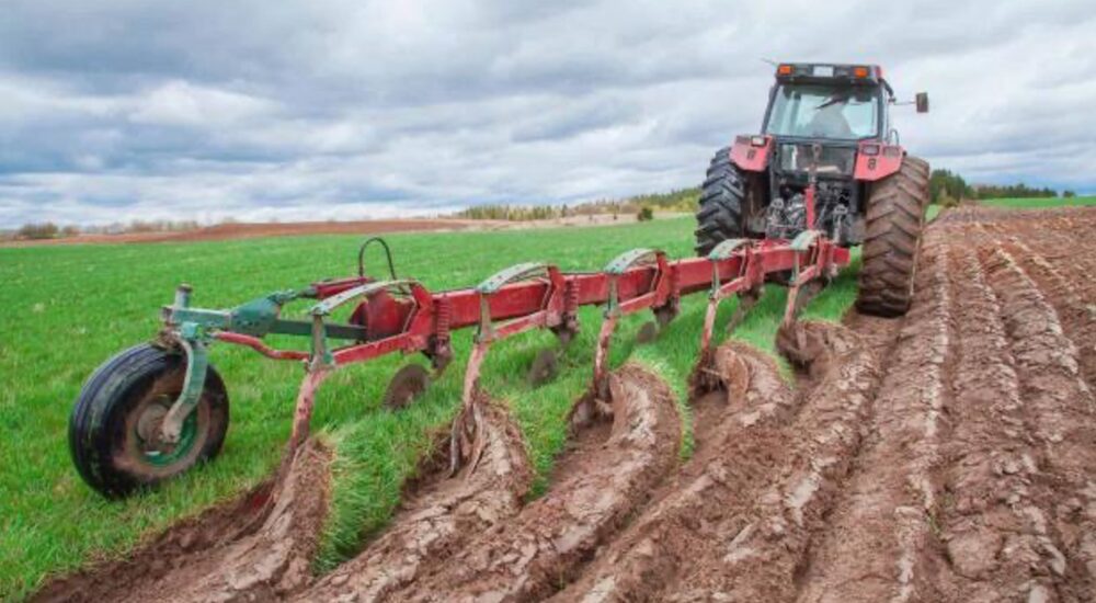 Як підприємиця із Сокальщини розвиває сільськогосподарський бізнес завдяки грантовій підтримці