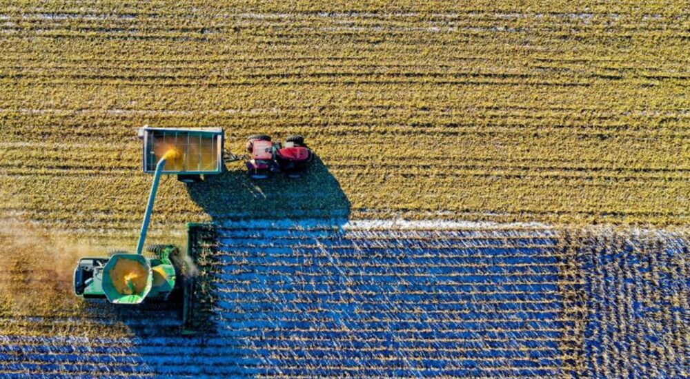 Аграрії та фермери у Миколаївській області можуть отримати фінансову допомогу