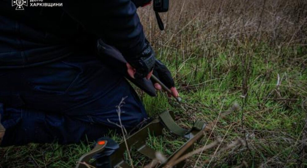 Німеччина щороку виділяє 20 млн євро на розмінування територій в Україні