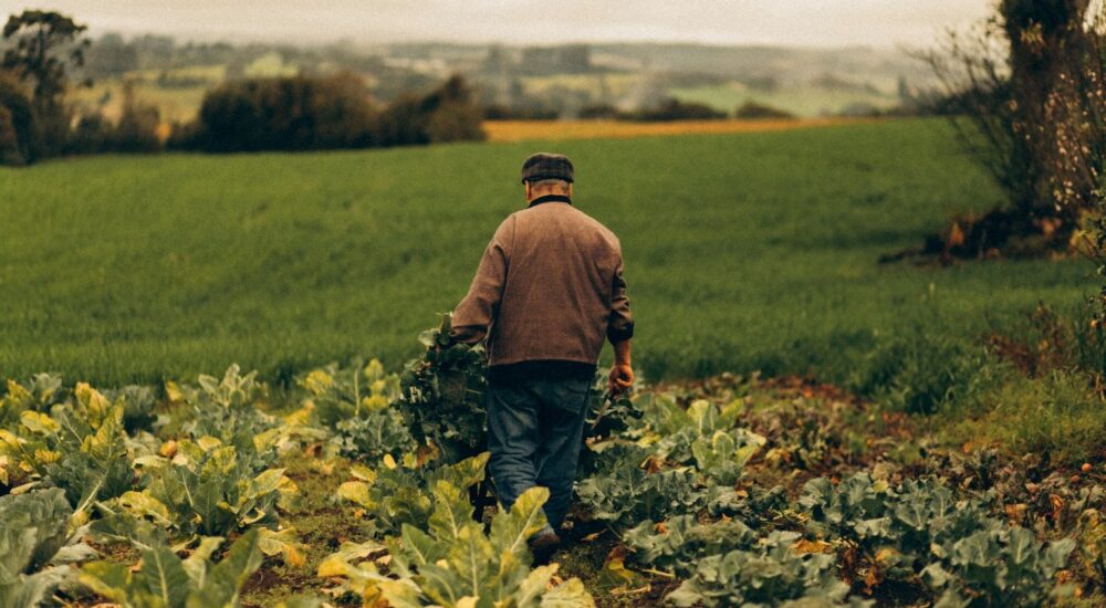 У квітні фермери отримали у використання ще майже 300 га земель, розмінованих коштом держави