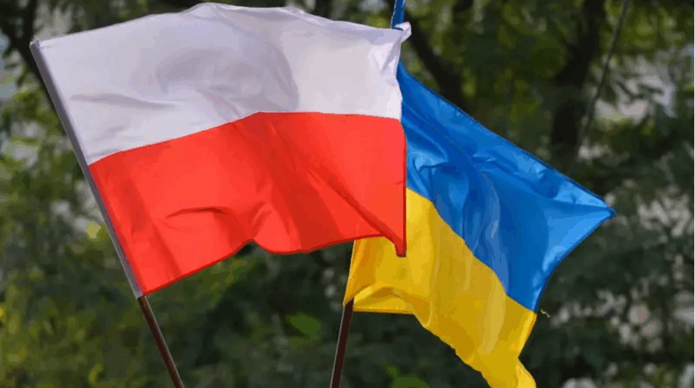 Одна з країн НАТО відкриє для Збройних сил України новий полігон