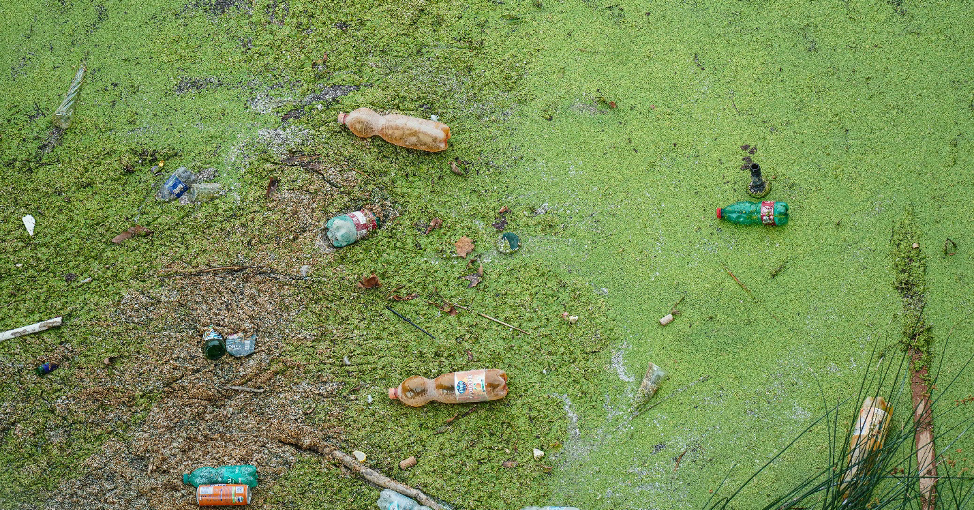 Річка Кальчик в окупованому Маріуполі перетворюється на болото