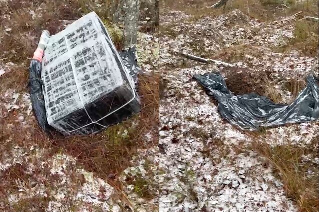 У Литві пройшов рекордний рейд проти контрабанди з Білорусі — LRT