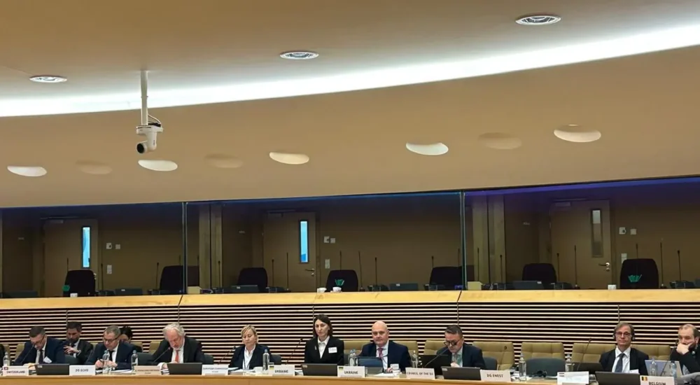 Ілона Гавронська: важливо забезпечити безперервність підтримки ВПО