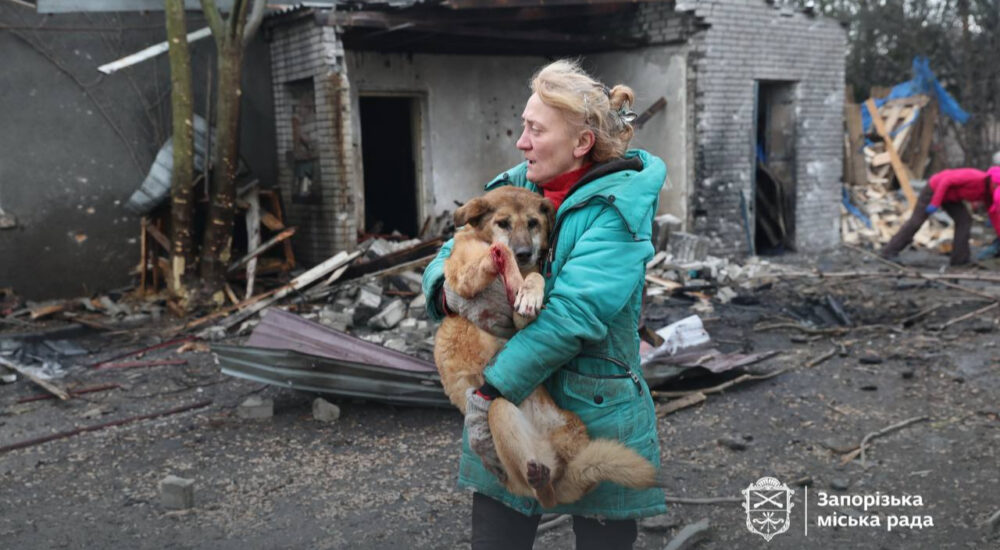 Під час російської атаки постраждав притулок для собак у Запоріжжі