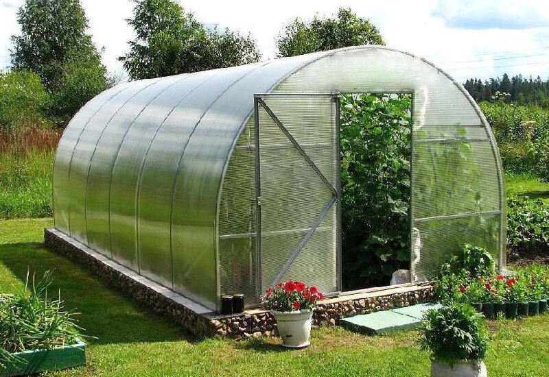 Сім’ї ВПО на Дніпропетровщині можуть отримати пташники й теплиці: як податися