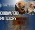 Викрито схему розкрадання бюджетних коштів на гуманітарному розмінуванні